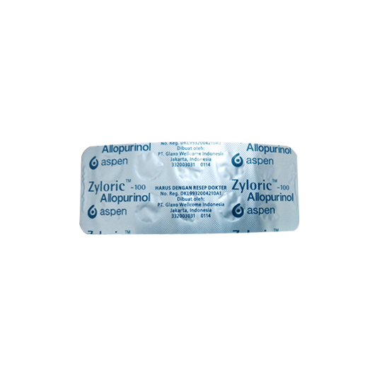 Jual Zyloric 100mg 1 Strip 10 Tablet | Shopee Indonesia