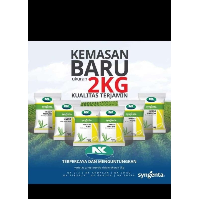 Jual Benih Jagung NK 6172 Perkasa Kemasan 2 Kg | Shopee Indonesia