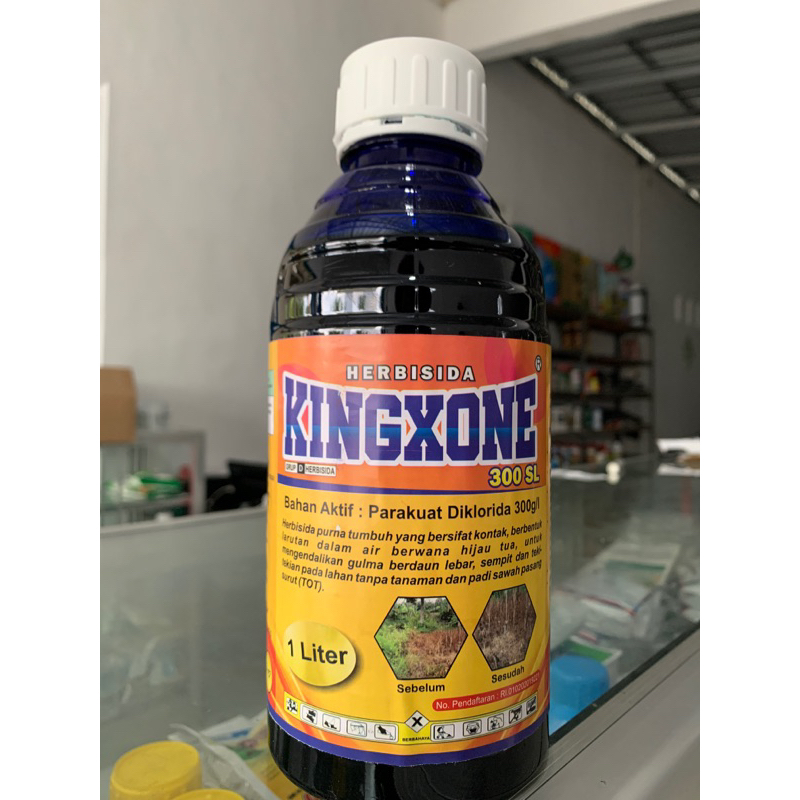 Jual Herbisida Kontak Kingxone Paraquat Diklorida 300 Sl 1 Liter