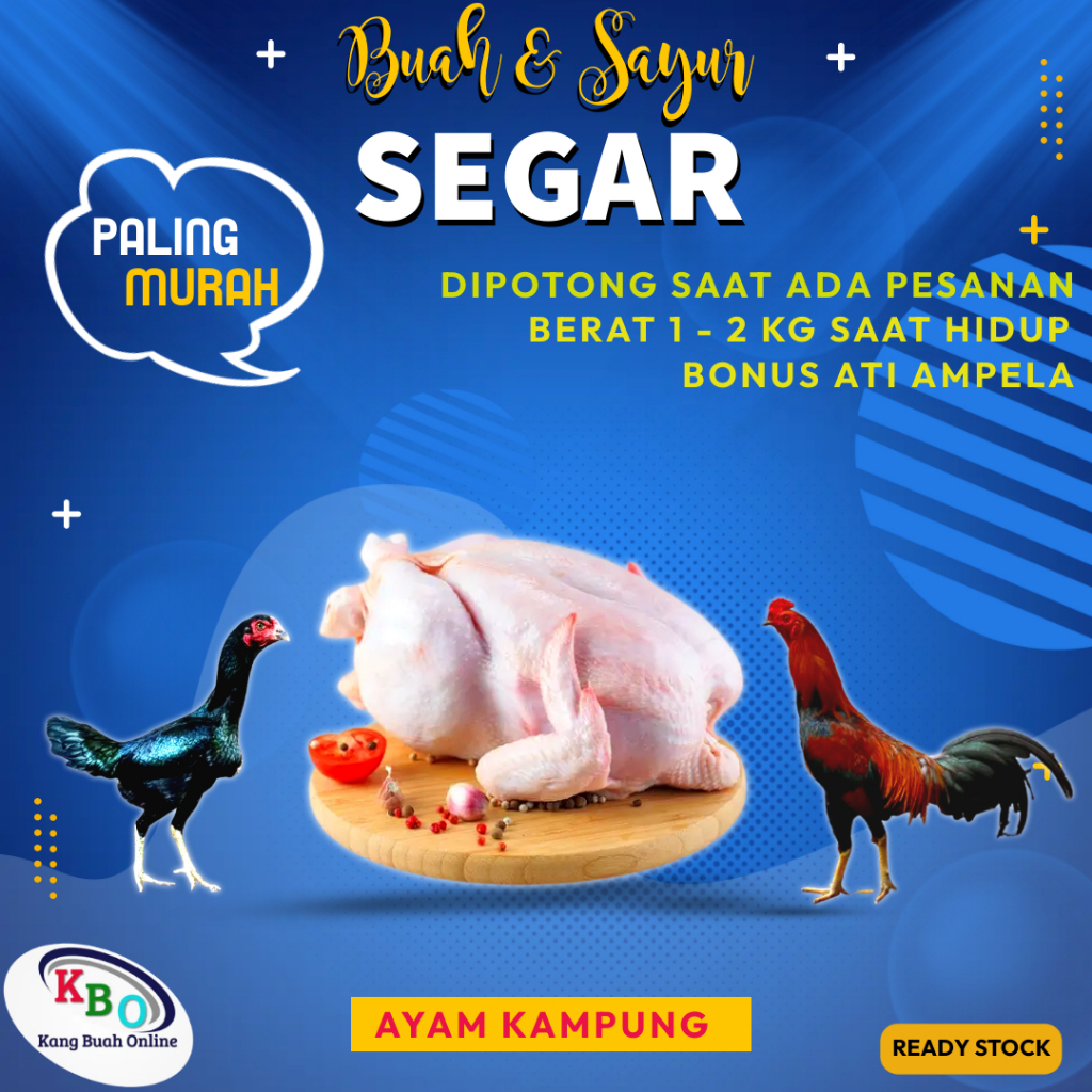 Jual Daging Ayam Kampung Jago Negeri Boiler Broiler Potong Utuh Segar