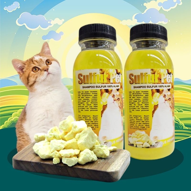 Jual SULFUR PET 100 Shampoo Kucing Shampoo Obat Scabies Jamur Demodex