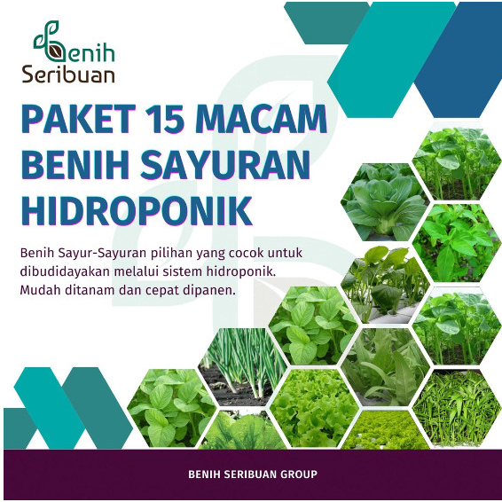 Jual Bibit Sayuran Hidroponik Paket 15 Macam Benih Sayur Daun Kangkung ...