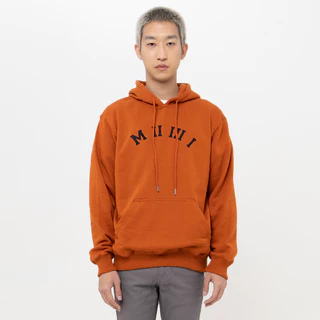 M231 Hoodie Panjang Teracotta 2197J