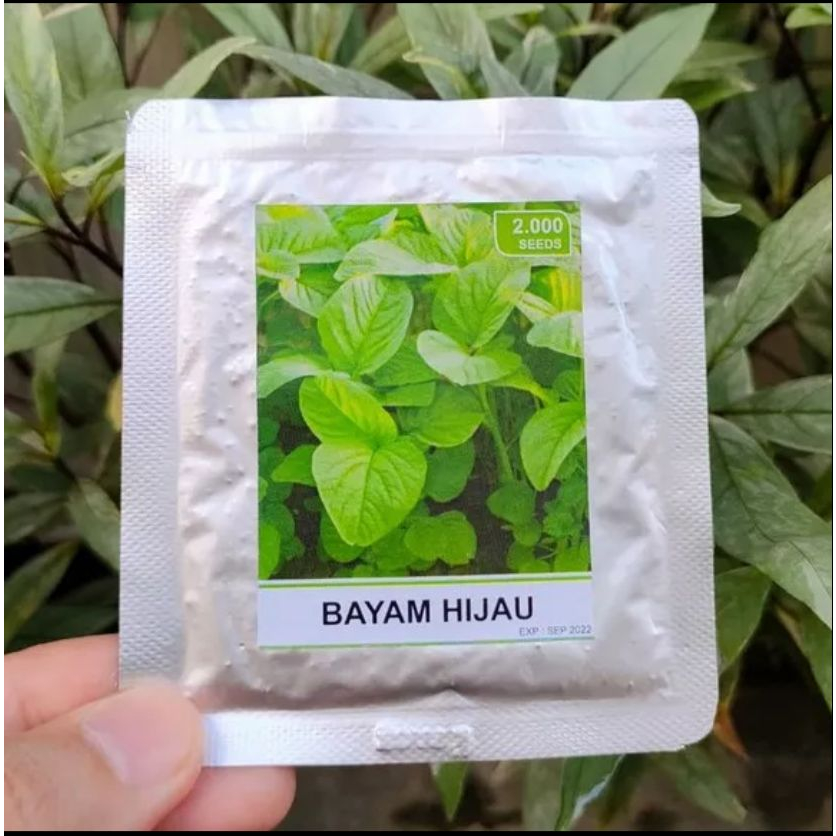 Jual Benih Bibit Sayuran Sayur Bayam Kangkung Selada Sawi Cabai Tomat