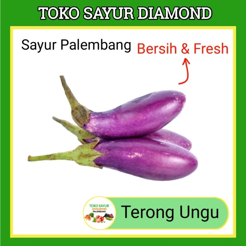 Jual Terong Ungu Toko Sayur Sayuran Mayur Online Segar Palembang