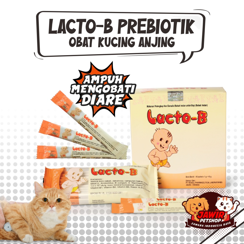 Jual LACTOB PROBIOTIK obat kucing anjing anak kitten puppy sakit mencret diare lacto B lactob