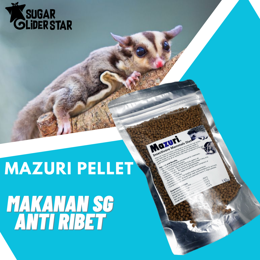 Mazuri sugar glider hotsell