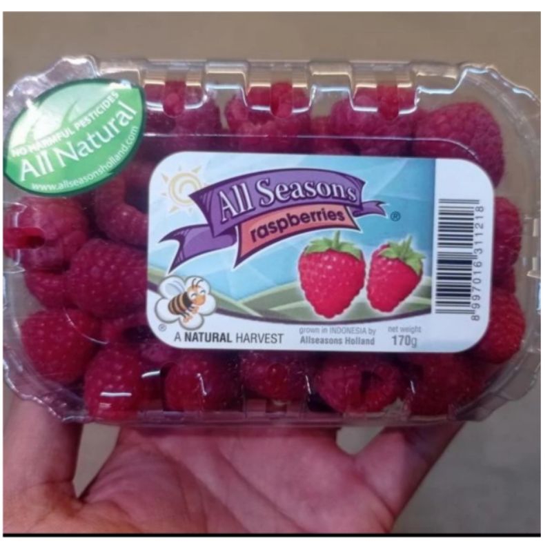 Jual Raspberry all season Natural / pack | Shopee Indonesia