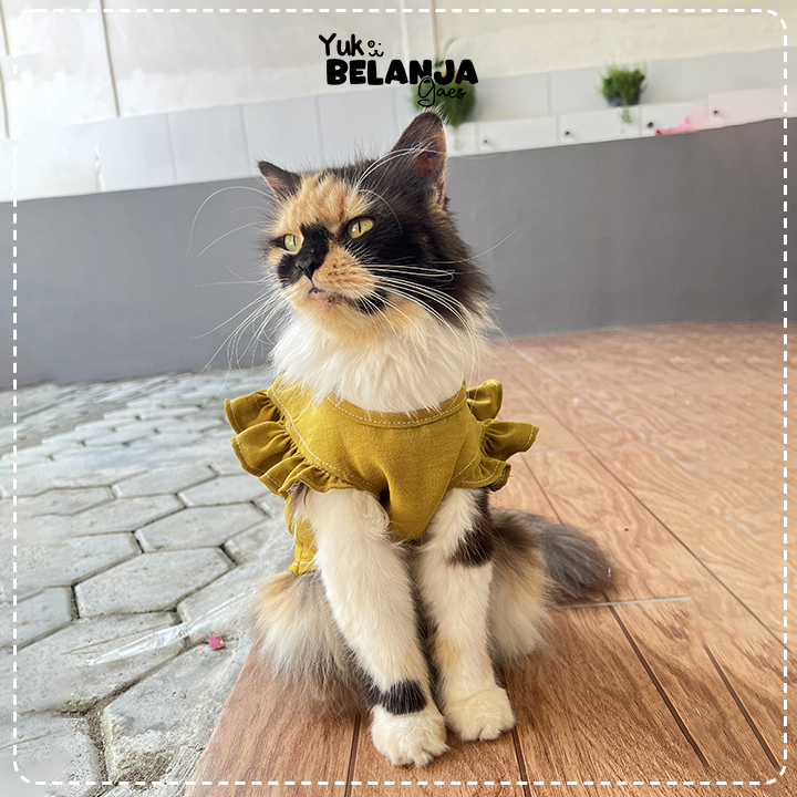 Jual Baju Kucing Bahan Rayon Puffy Pastel Blouse Series / Baju Kucing ...