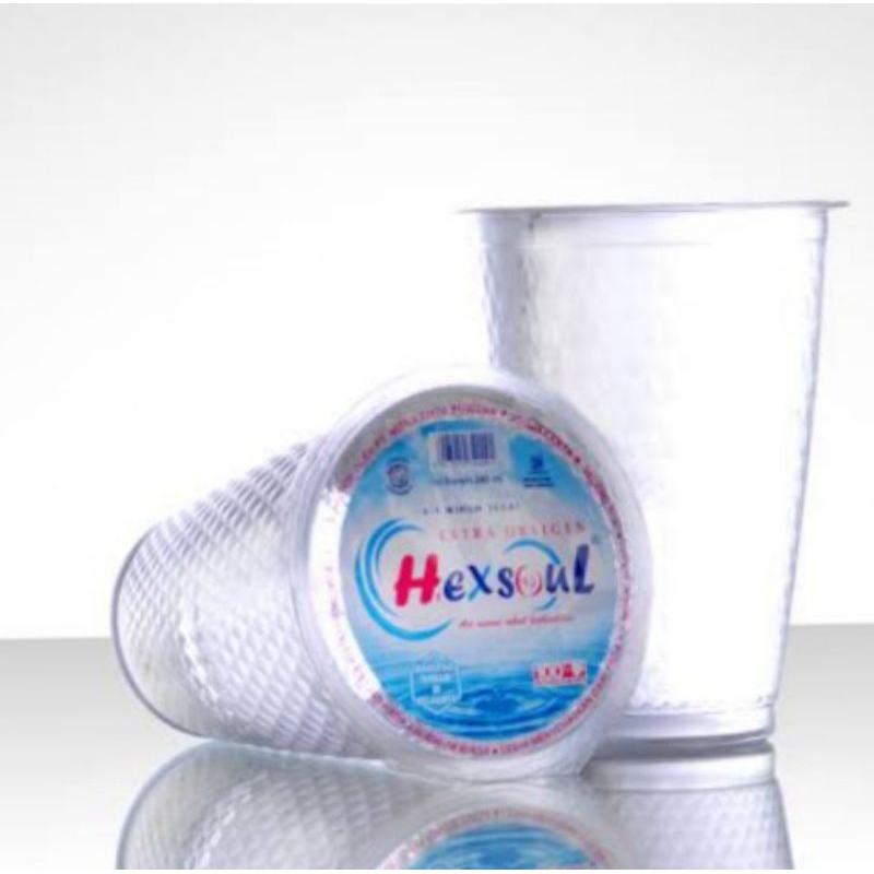 Jual Hexsoul Air Minum kemasan cup 240 ml 1 Dus (ONLY VIA INSTANT ...