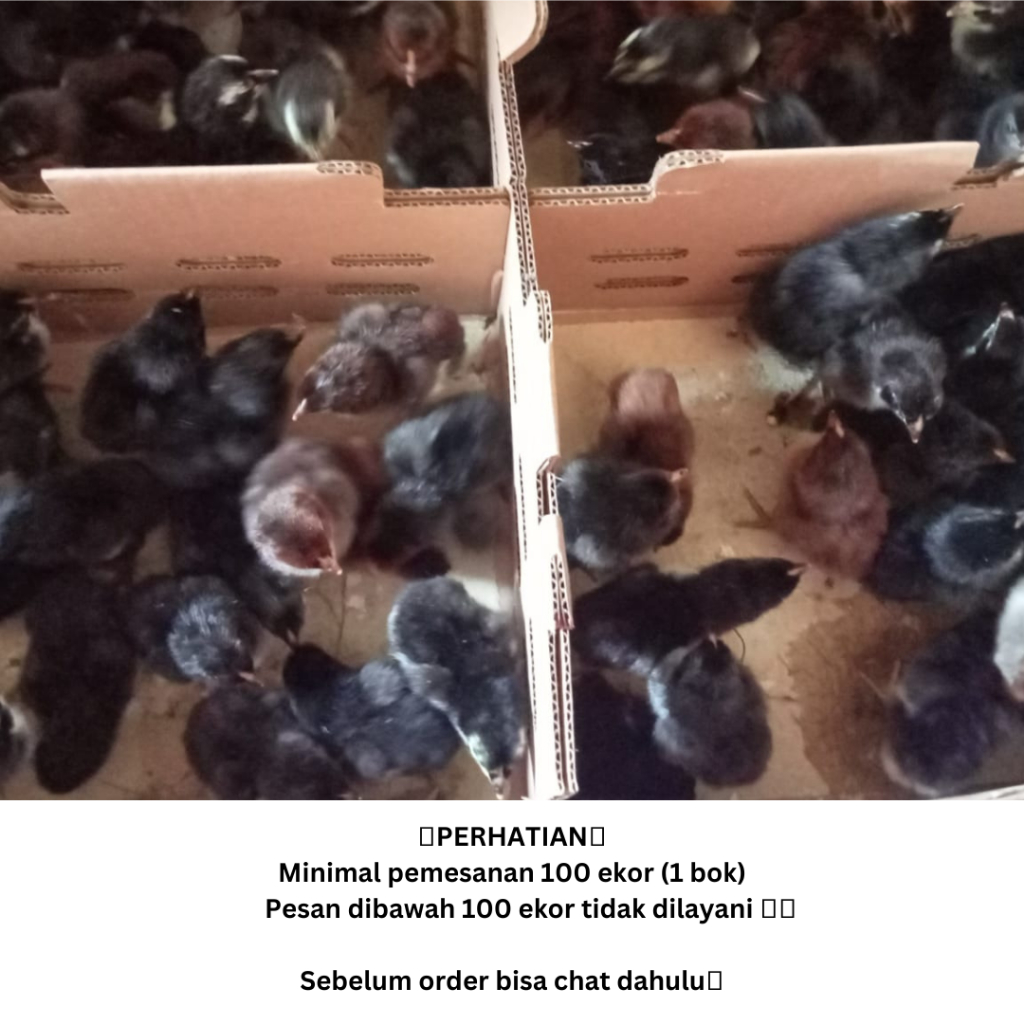 Jual Jual DOC AKA Modif Wilayah Sumatera | Shopee Indonesia