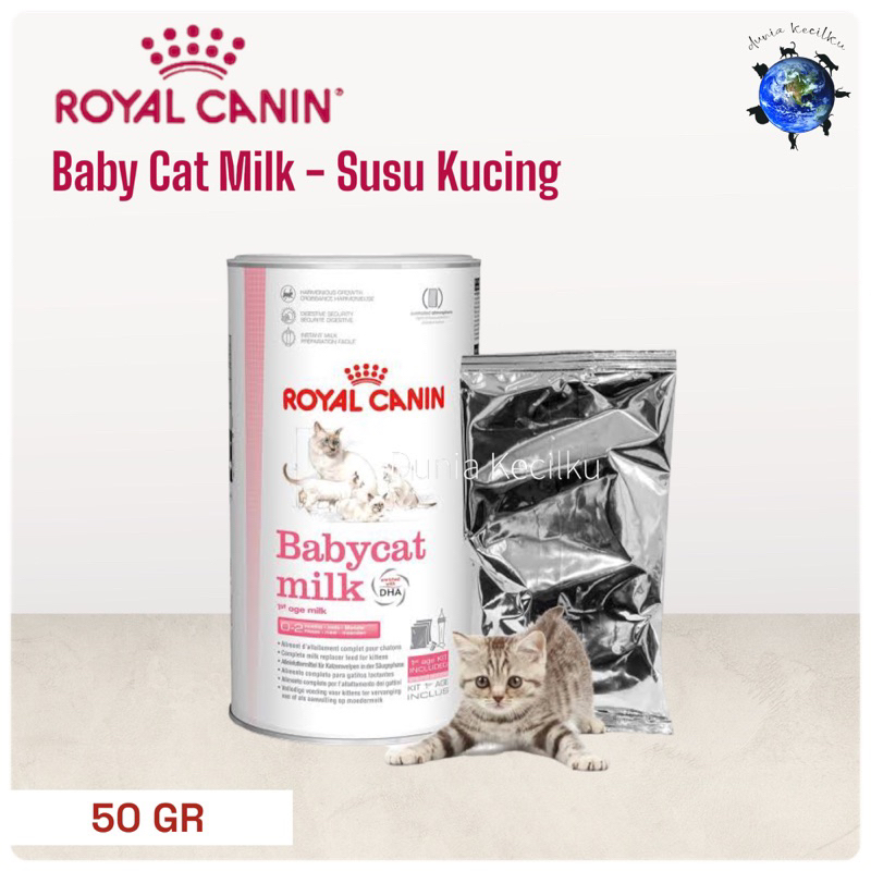 Royal canin 2024 untuk kitten