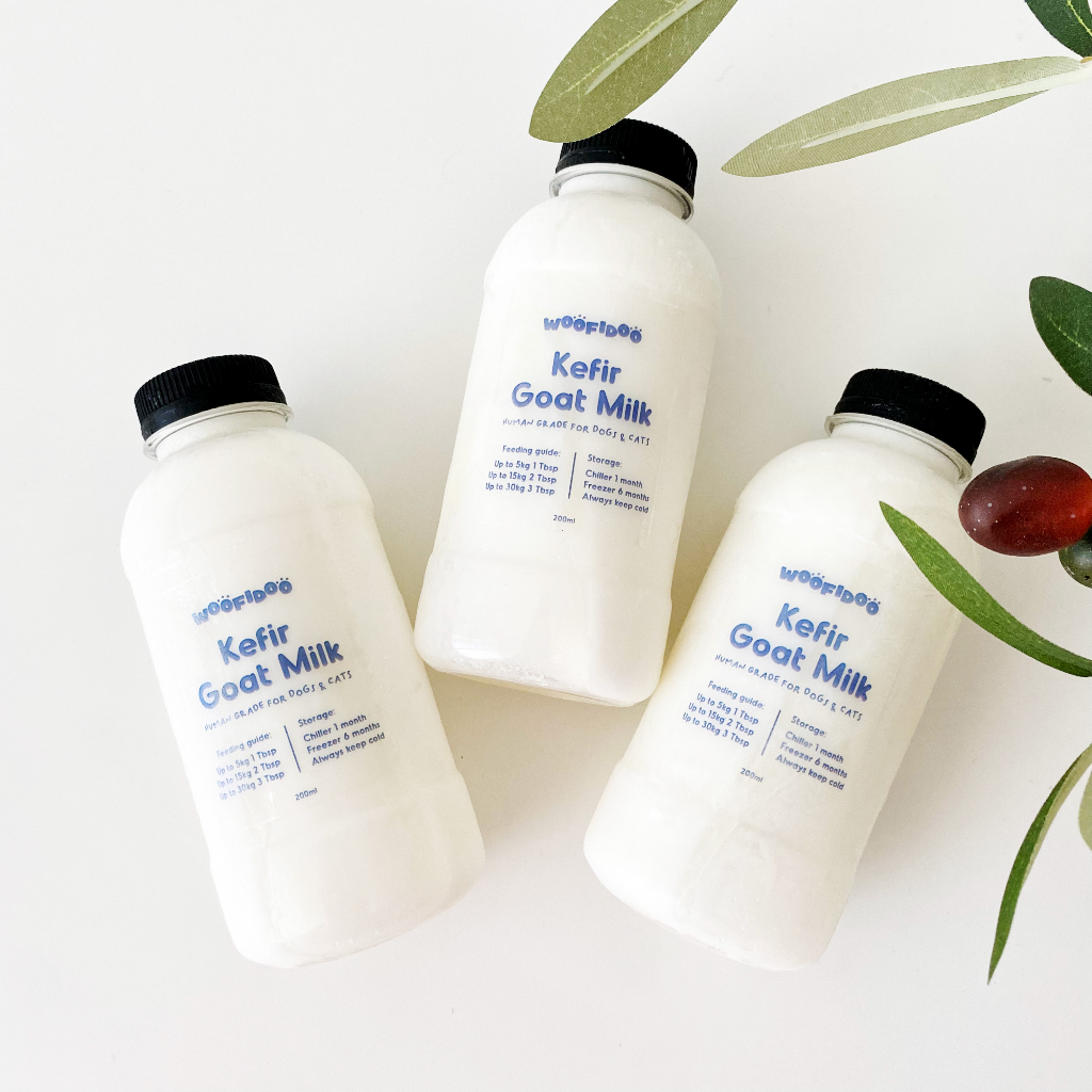 Picture of Can Cats Eat Kefir Safely? Exploring the Benefits and Risks