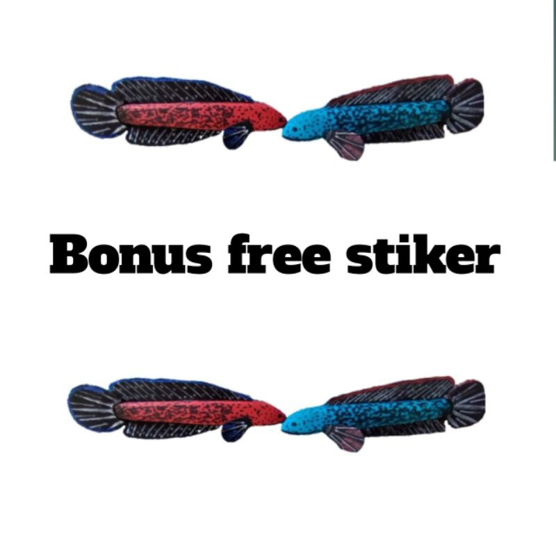 Jual PATUNG CHANA BARCA GRATIS STIKER CHANA | Shopee Indonesia