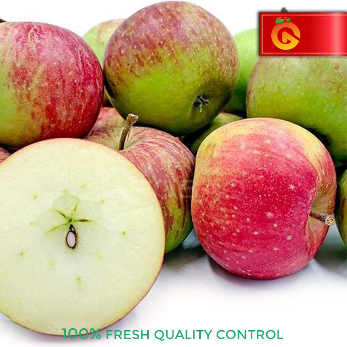 Jual BUAH APEL MALANG ROME BEAUTY FRESH 1 KG | Shopee Indonesia