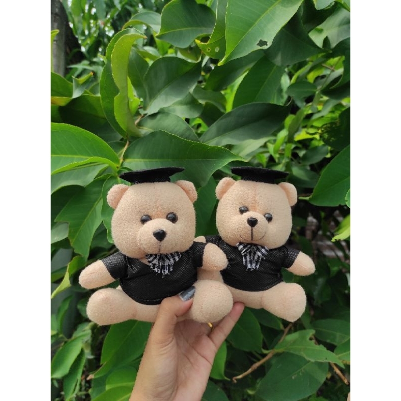 Jual Boneka Wisuda Murah 15 CM Boneka Teddy Bear Wisuda Beruang Mini Hadiah Wisuda Shopee