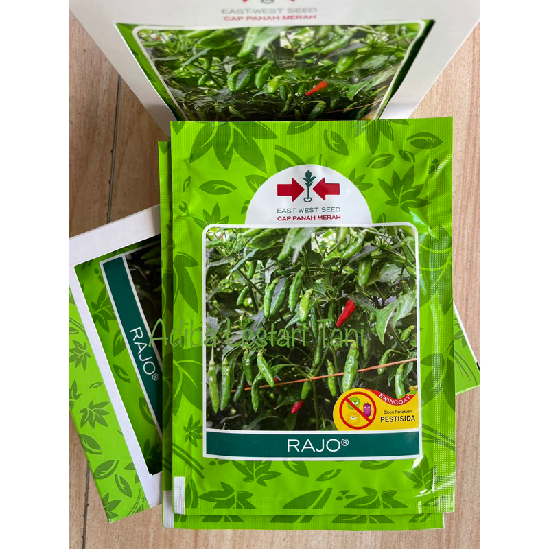 Jual Benih Cabe Rawit RAJO 2.250 Butir - Benih Unggul Cabai Rawit Ijo ...