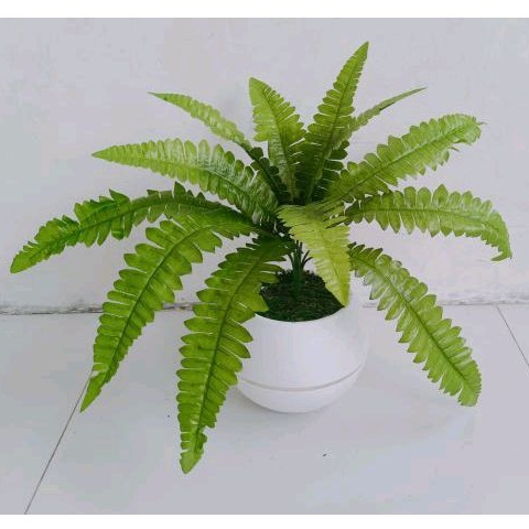 Jual POHON PAKIS BOSTON ARTIFICIAL 12 TANGKAI DENGAN POT BOLA JUMBO ...