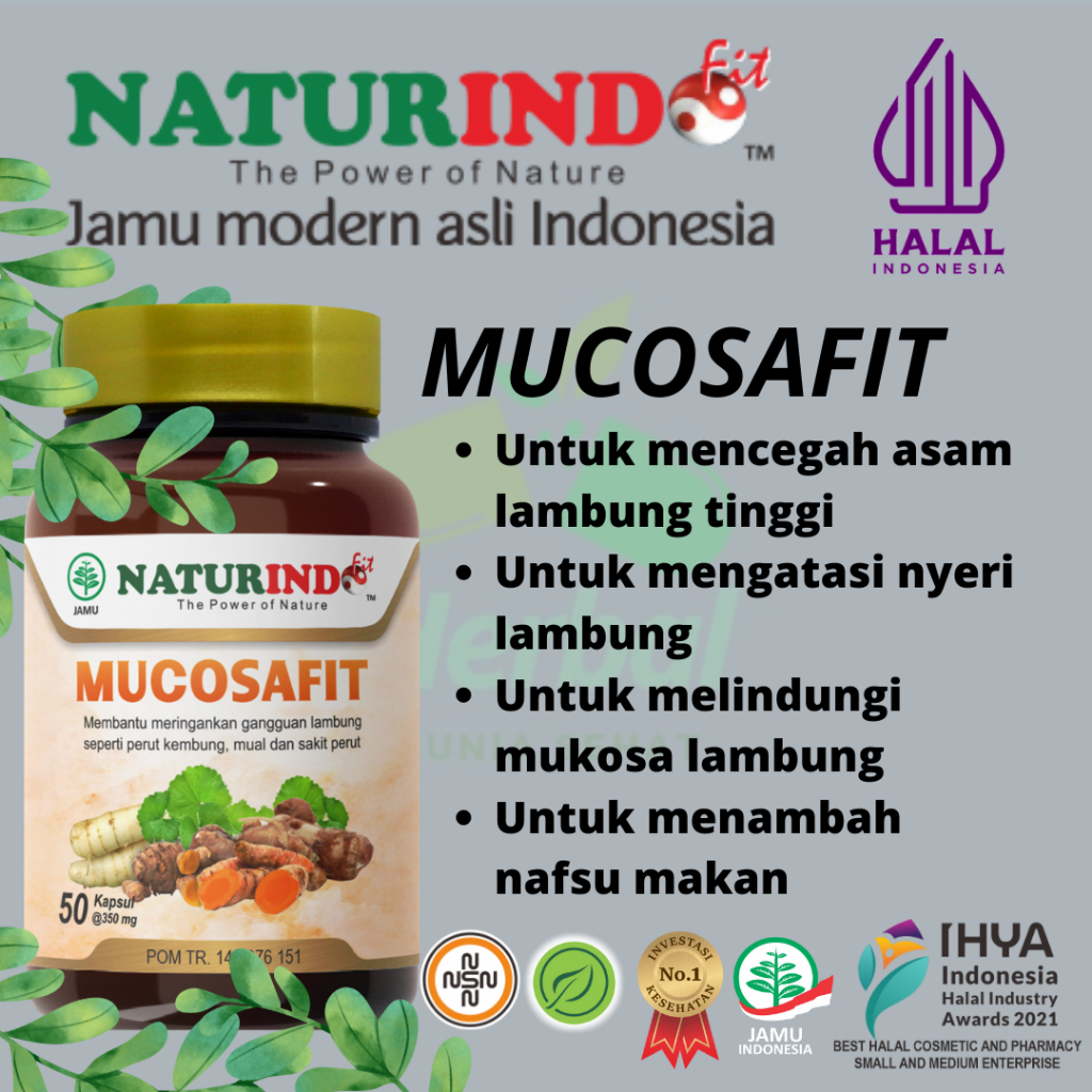 Jual Obat Herbal Maag Asam Lambung Tinggi Gerd Tukak Lambung Naturindo