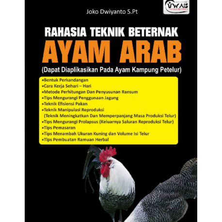 Jual Rahasia Teknik Beternak Ayam Arab Dapat Diaplikasikan Pada Ayam Kampung Petelur Shopee