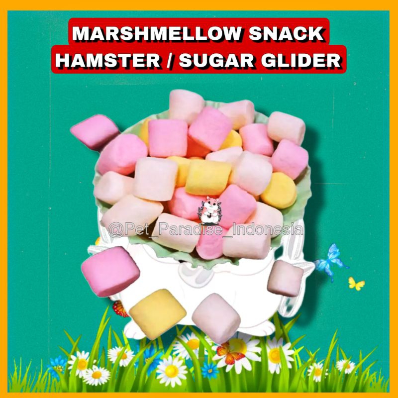 Jual Ppi Marshmallow Snack Hamster Sugar Glider Landak Mini Kelinci Marshmallow Hamster Pakan