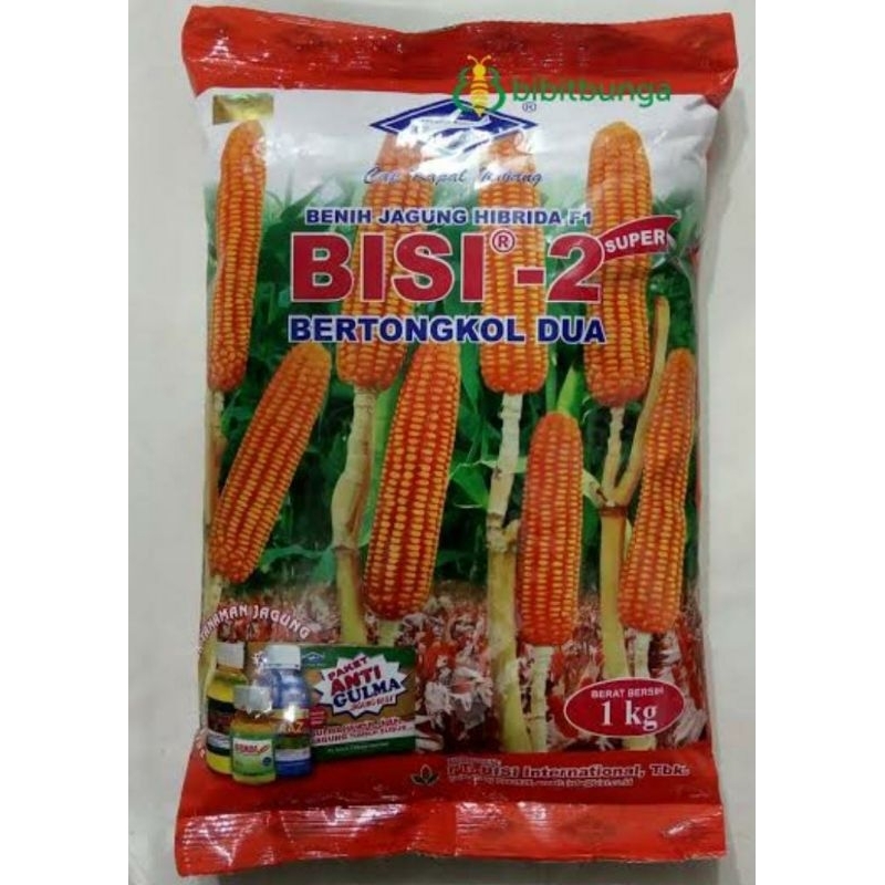 Jual Benih Jagung Hibrida F1 Bisi 2 Bertongkol Dua Kemasan 1kg