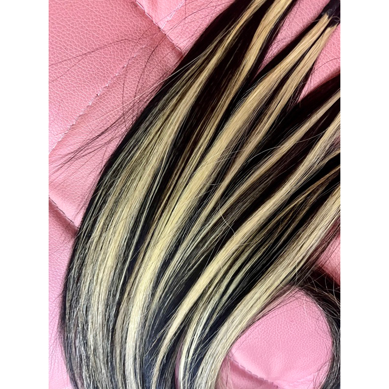 Jual Rambut Sambung Tipe Standar Warna Highlight Panjang 60cm 1 Helai ...