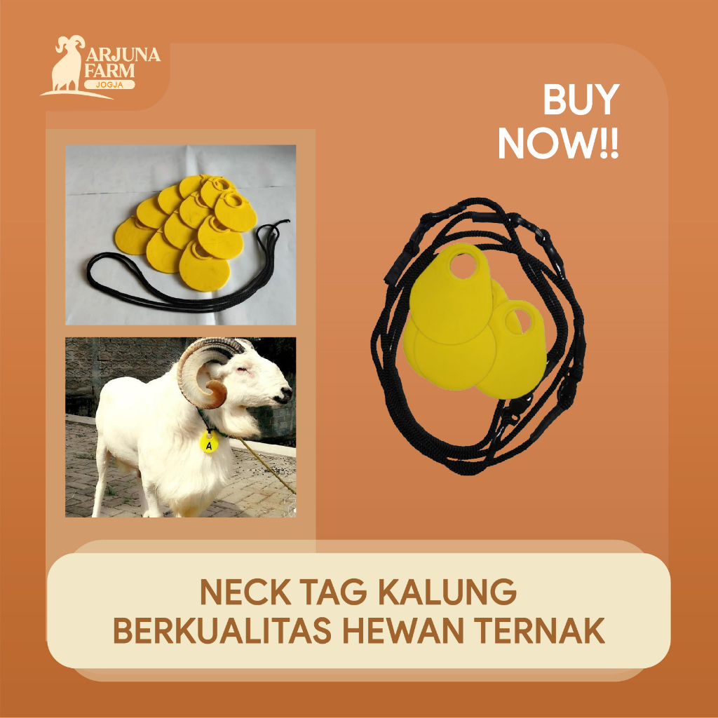 Jual Neck Tag Sapi Kambing Domba Kalung Ternak Isi 20 Pcs Berkualitas ...