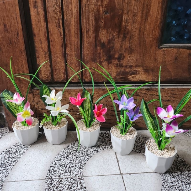 Jual Bunga Lily Bintang Rumput + Pot | Shopee Indonesia