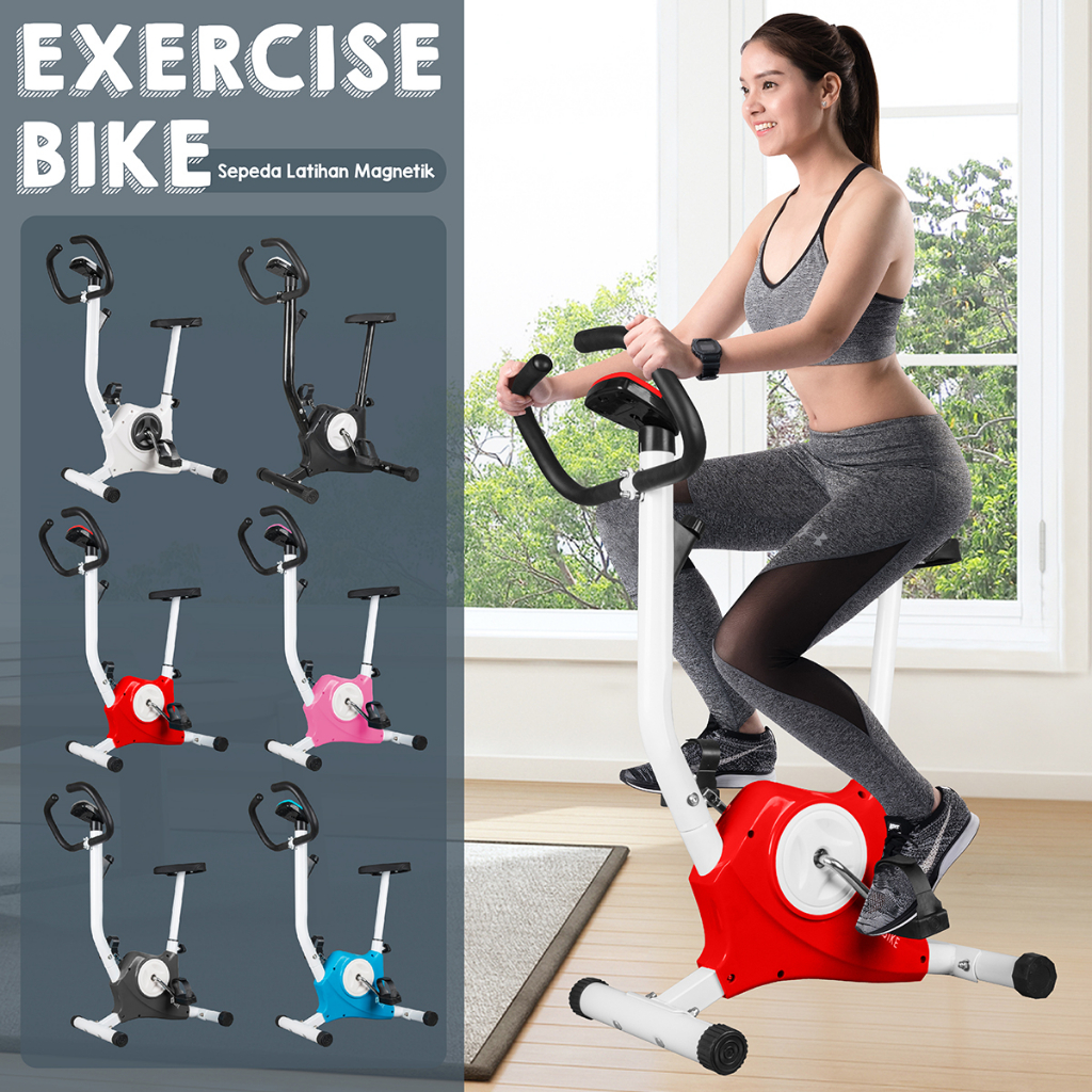 Jual Bg Sport Sepeda Statis Spin Bike Eco Fitnes Belt Mini Ys Quc