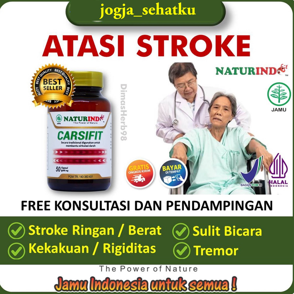 Jual Obat Stroke Ringan Berat Obat Stroke Ringan Obat Herbal Stroke ...