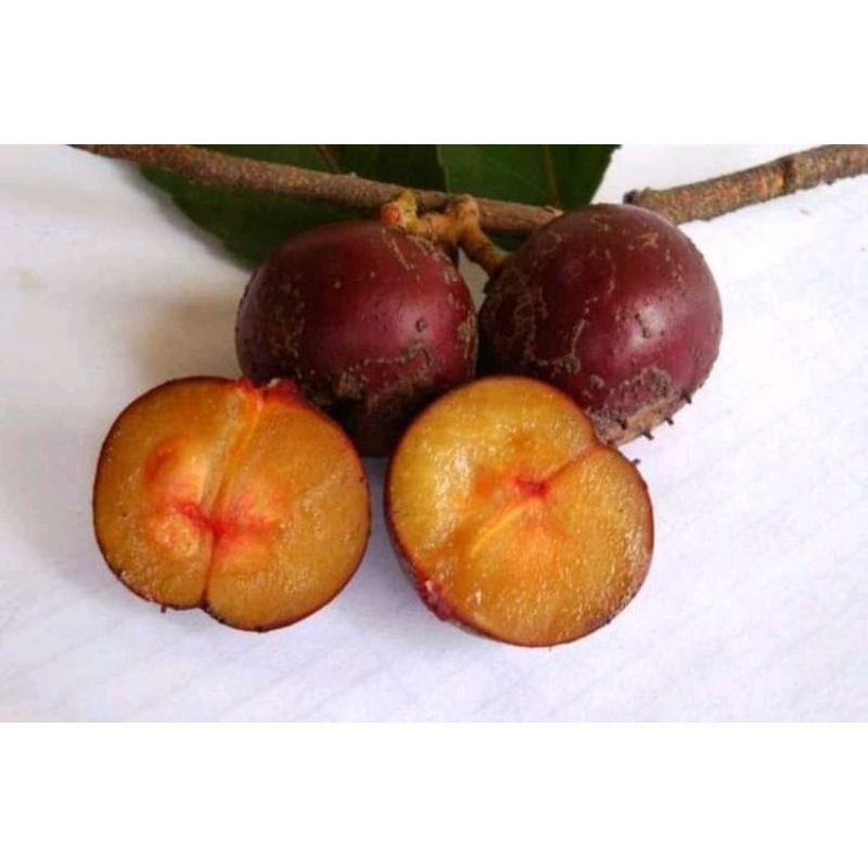 Jual BUAH RUKAM RUKEM 500grm | Shopee Indonesia