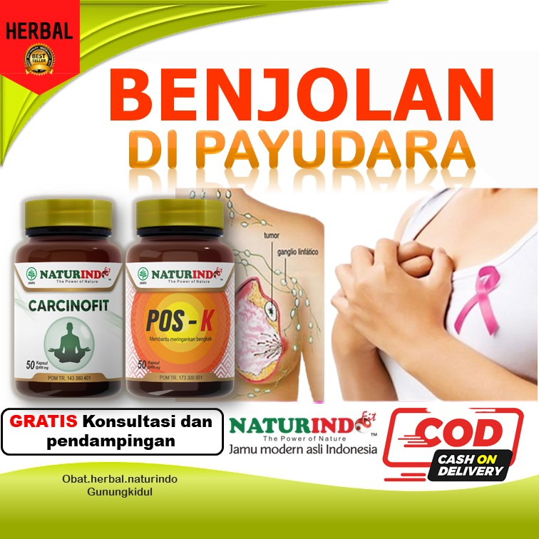 Jual Obat Benjolan Payudara Kanker Tumor Jinak Mastitis Fam Bengkak