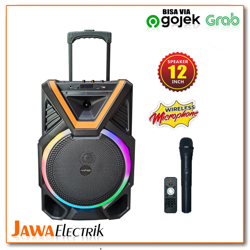 Speaker portable best sale advance 12 inch