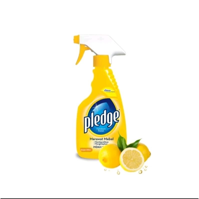 Jual Pledge Furniture Polish Natural Beauty 450 ml Shopee Indonesia