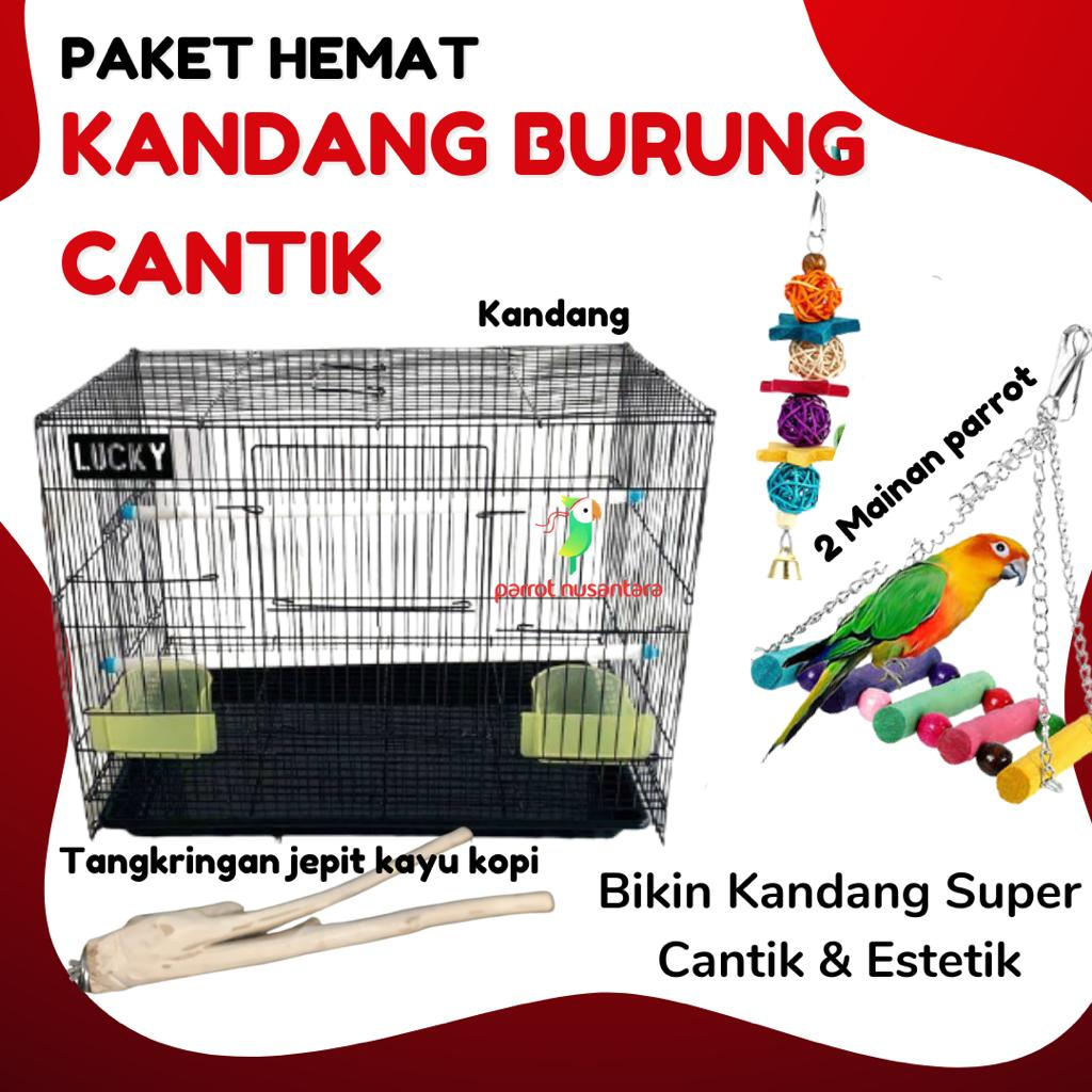 Jual PAKET HEMAT KANDANG CANTIK BURUNG SUGAR GLIDER Shopee Indonesia