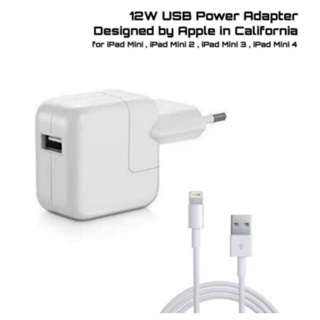 Cargador Compatible Ipad 2/3/4 Con Usb 5V 2.1A 10W