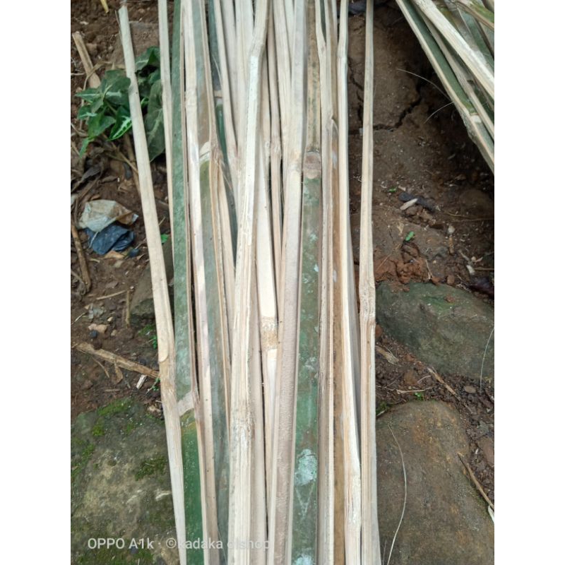 Jual Bambu Bilahajir Turus Penyangga Tanamanbilah Bambu Apus Shopee