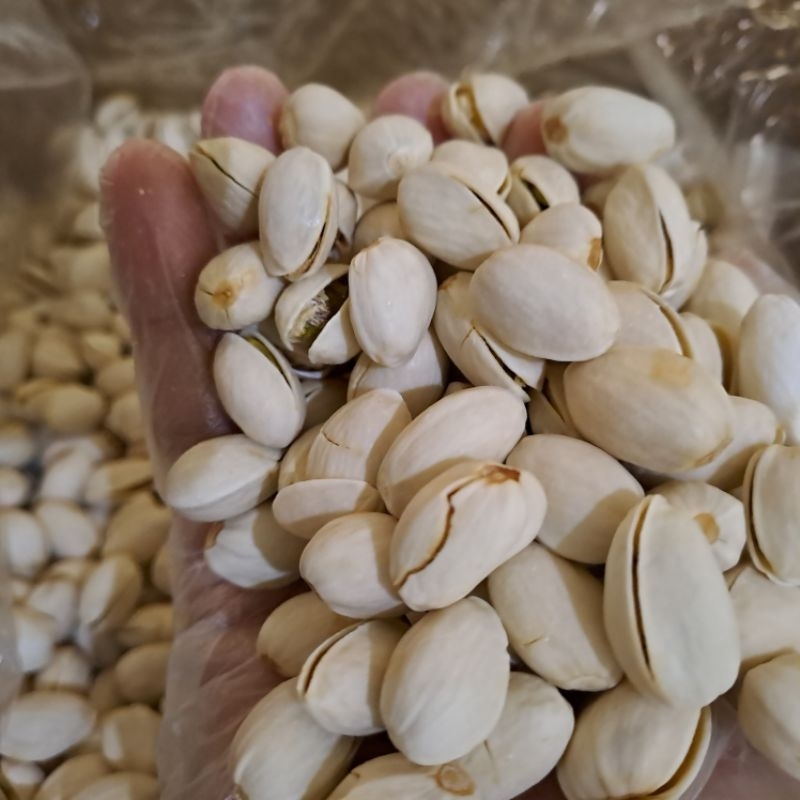 Jual KACANG PISTACHIO FUSTUK 500GR ROASTED DAN SALTED RENYAH GURIH ...