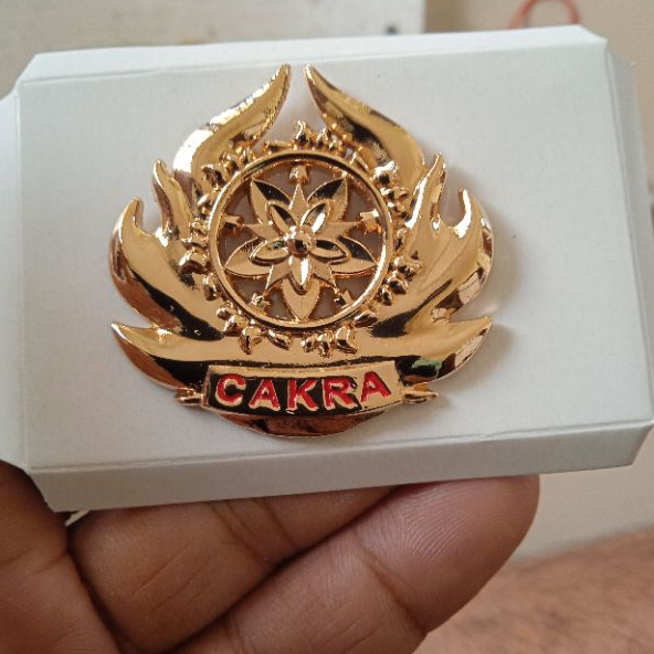 Jual brevet wing pin cakra kostrad tni ad | Shopee Indonesia