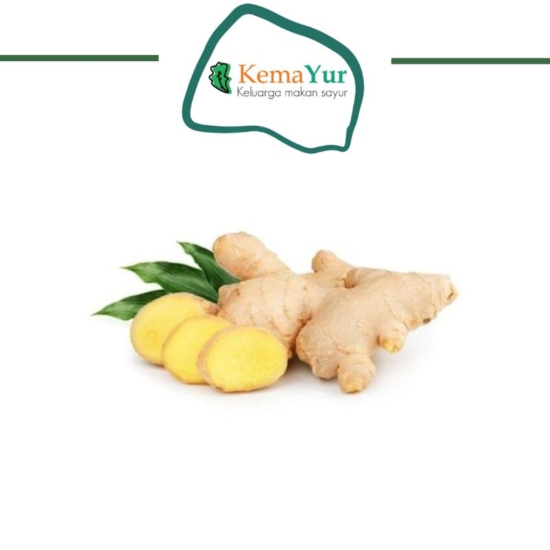 jual-jahe-fresh-rempah-resep-jsr-250-gr-shopee-indonesia