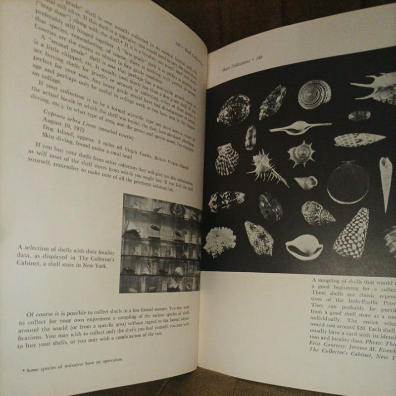Jual Buku Seni Sains : Art from Shells / Kerajinan Tangan Kerang Keong ...