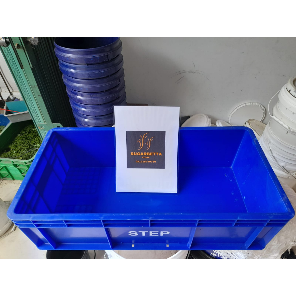 Jual Box Container 6655 Plastik Magot / Box Ikan / Box kura kura Box ...