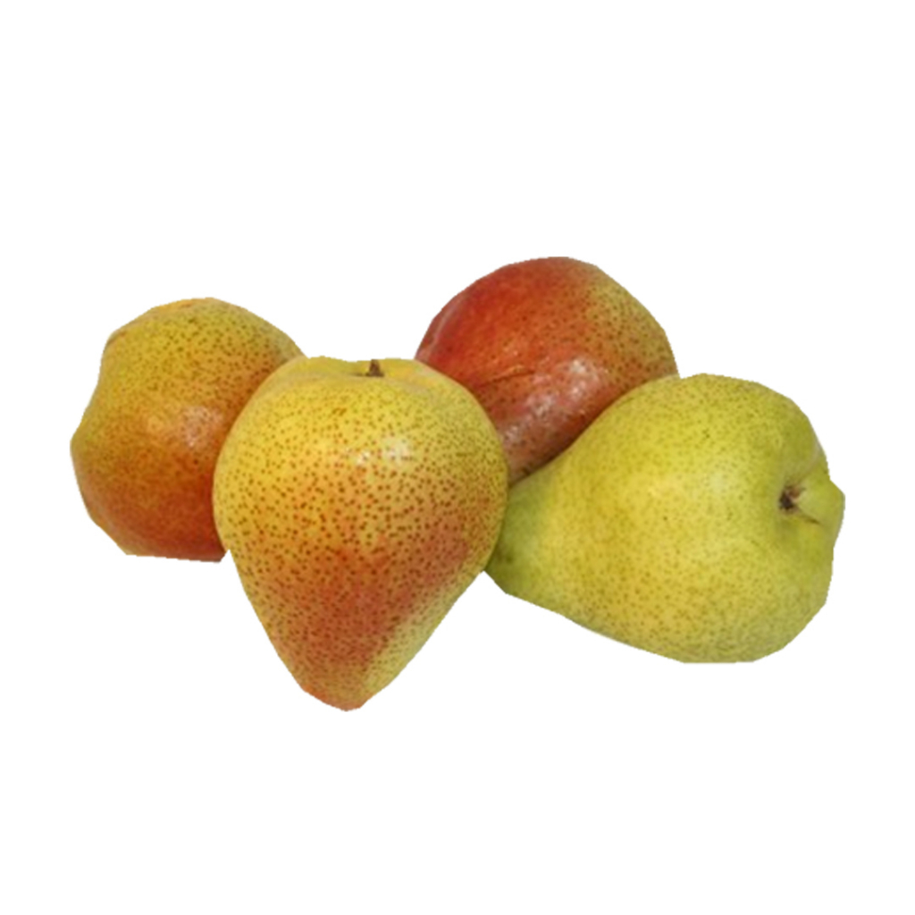 Jual Pear Forelle Africa Pack 1kg 1321 Shopee Indonesia 