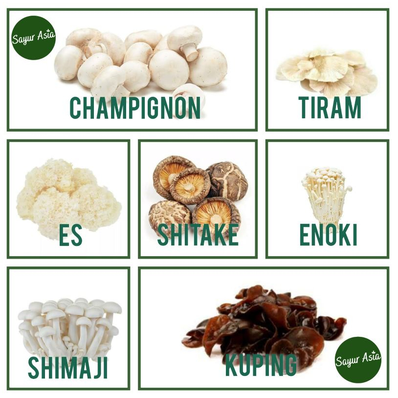Jual JAMUR ES / ENOKI / SHIMEJI / CHAMPIGNON / SHITAKE / KUPING / TIRAM Shopee Indonesia