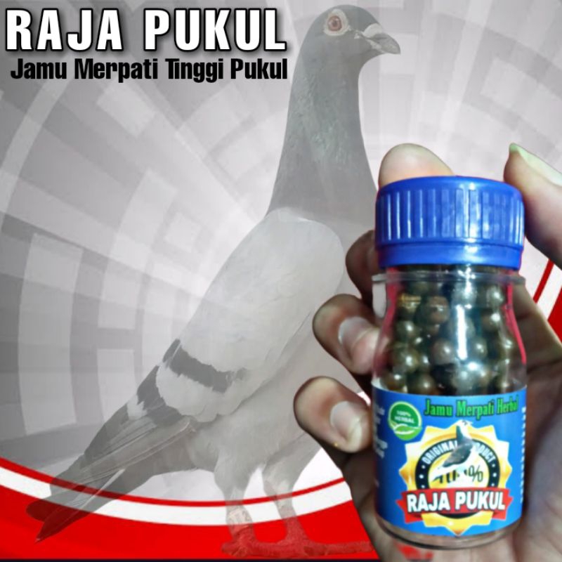 Jual RAJA PUKUL ISI 100 BUTIR jamu merpati tinggi pukul jamu liur walet ...