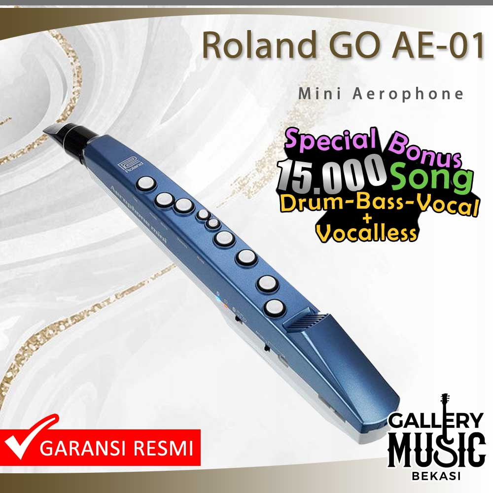 Jual Roland Go AE-01 Aerophone Mini Digital Wind Instrument /AE 01 /Go ...