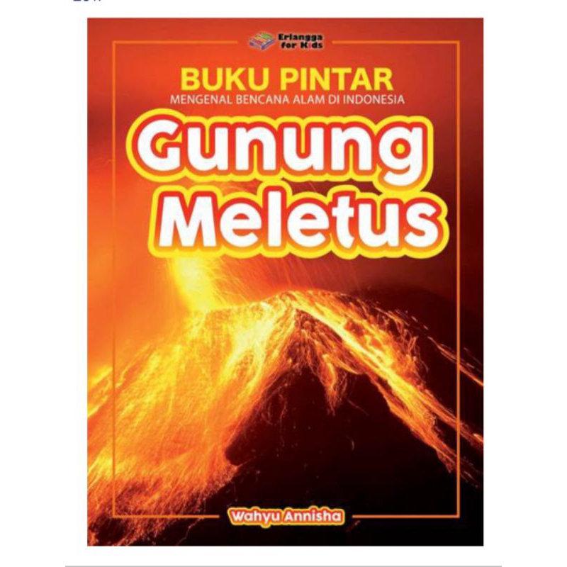 Jual Buku Pintar Mengenai Bencana Alam Indonesia : Gunung Meletus ...