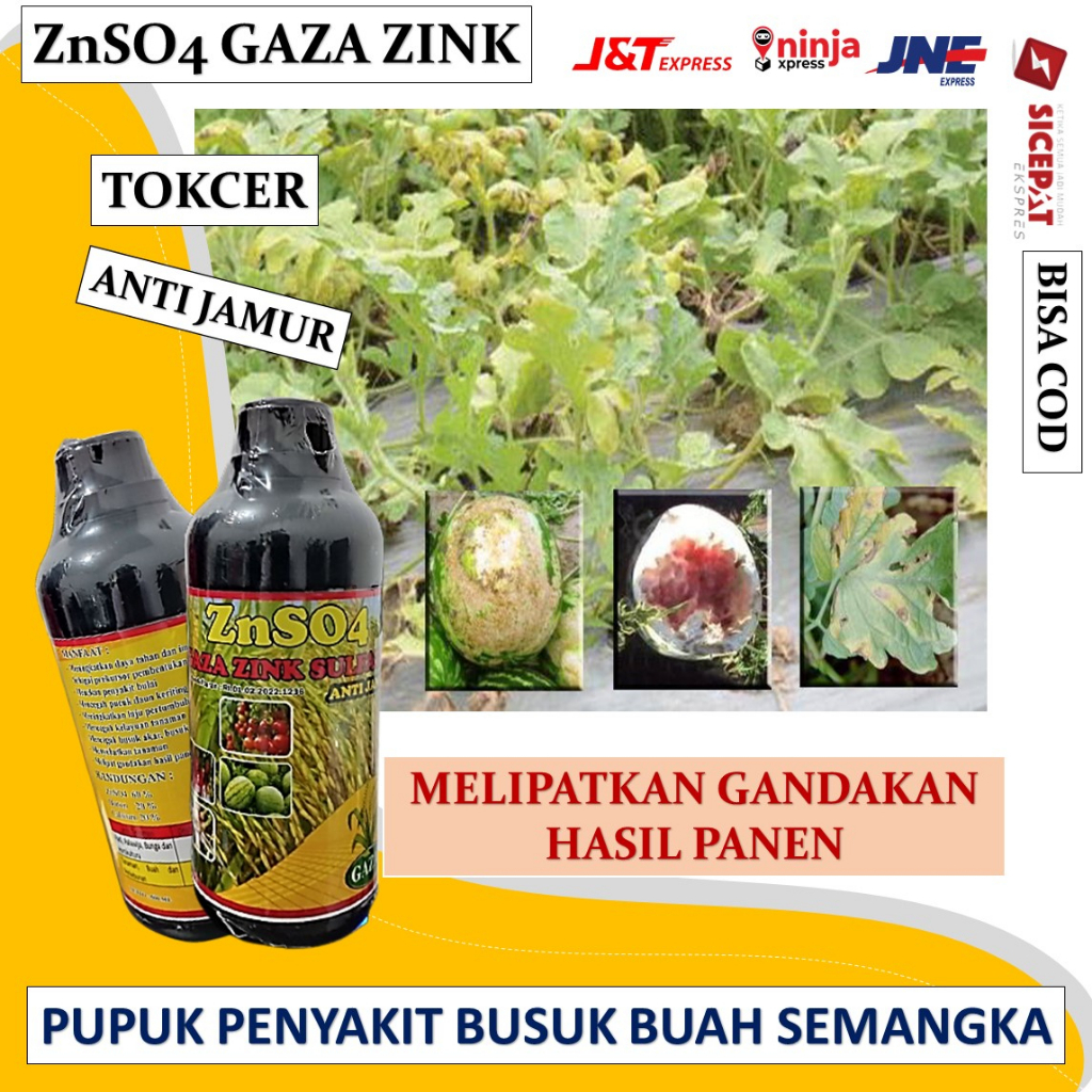 Jual Obat Busuk Buah Semangka Znso4 Gaza Zink Sulfate 500 Ml Ampuh Dan