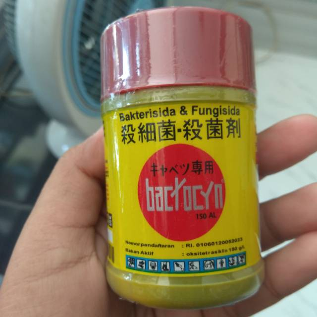 Jual Bactocyn 150AL- 100ml bakterisida dan fungisida pengendali layu ...